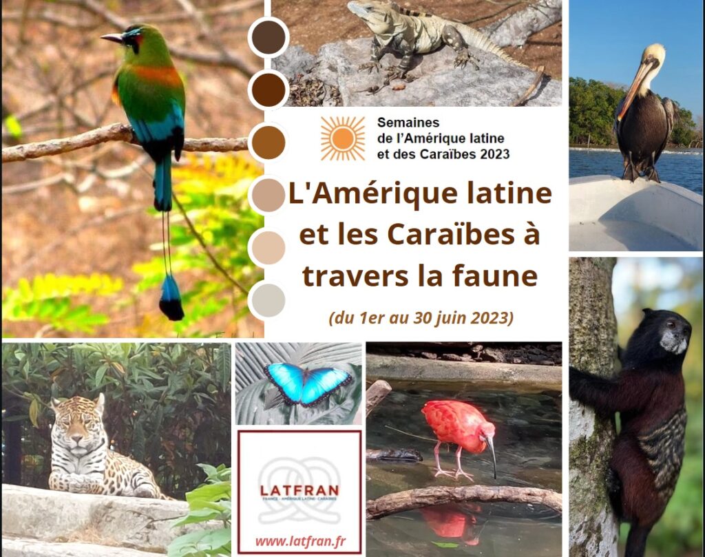 Exposition LATFRAN SALC2023